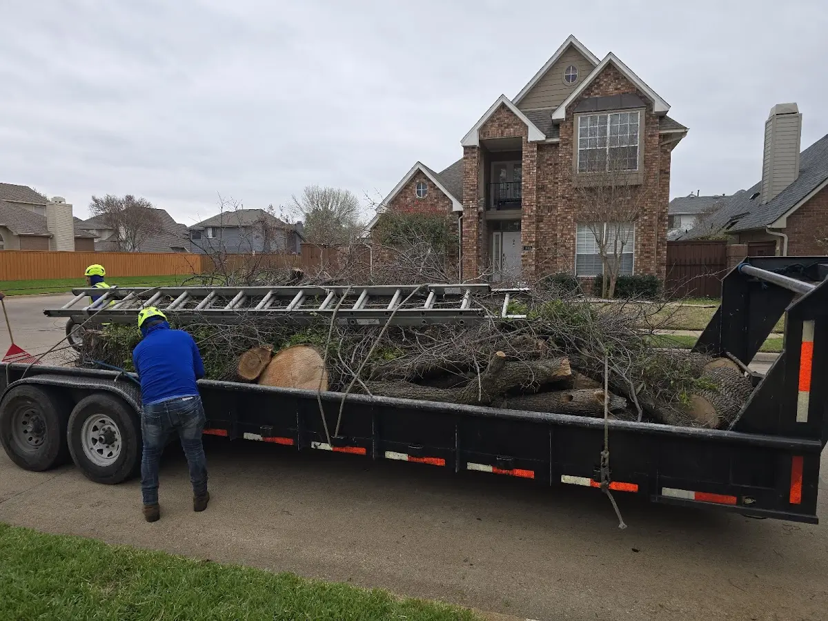 Expert Tree Fertilization with proper safety equipment in Salisbury Mills